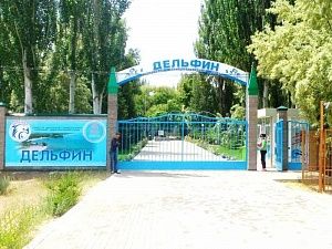 Пансионат Дельфин Иссык куль отдых путевки туры из Алматы 2020